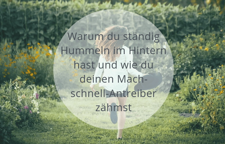 innere Antreiber