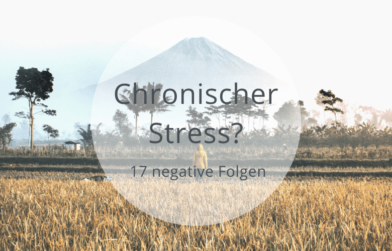 Chronischer Stress